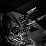 Stylish black and white close-up of Bentley car emblem, perfect for mobile wallpaper or luxury themes.