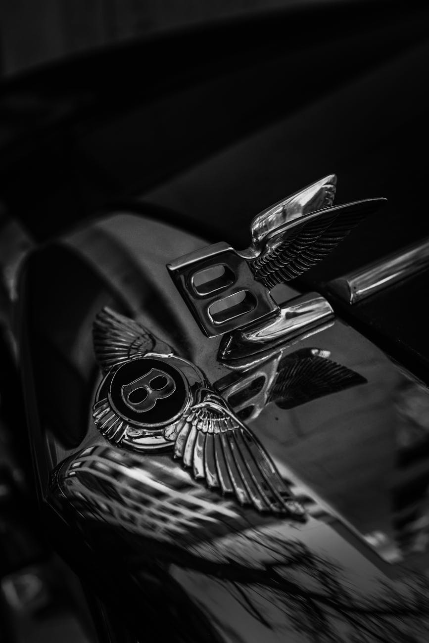 Stylish black and white close-up of Bentley car emblem, perfect for mobile wallpaper or luxury themes.