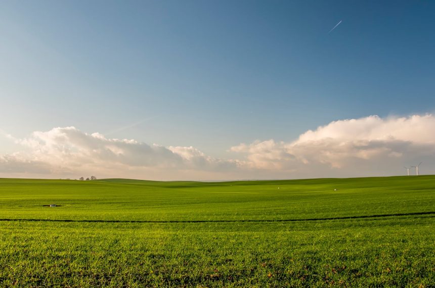 Expansive green meadow under a blue sky with wind turbines in the distance.