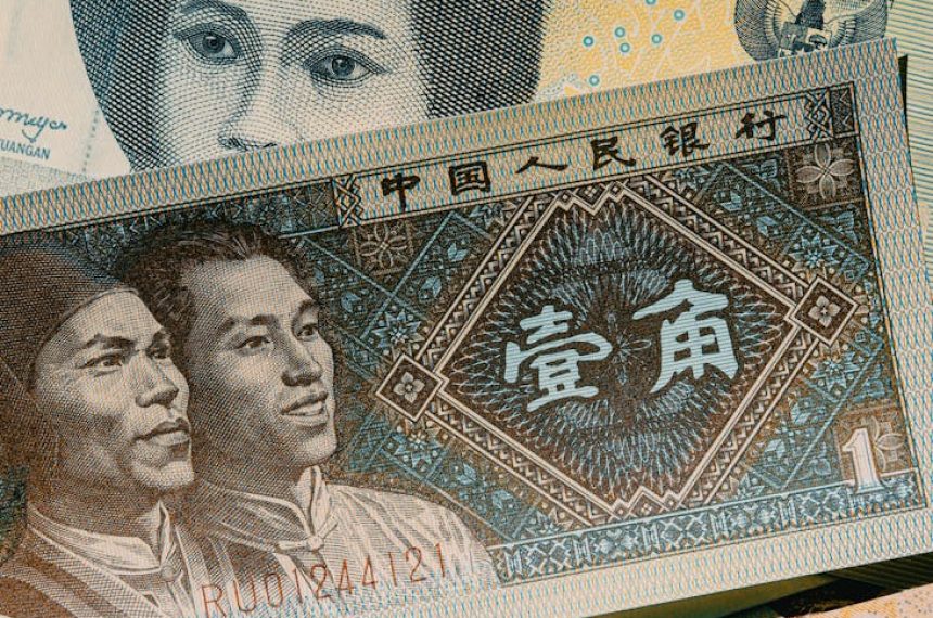 Vertical shot of various international banknotes displaying diverse currencies and designs.