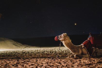 camel, galaxy, dubai, darkness, milkyway, camel, camel, camel, dubai, dubai, dubai, dubai, dubai